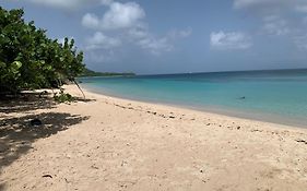 Cote Plage Le Balaou Saint Francois